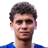 Hamza Abdelkarim